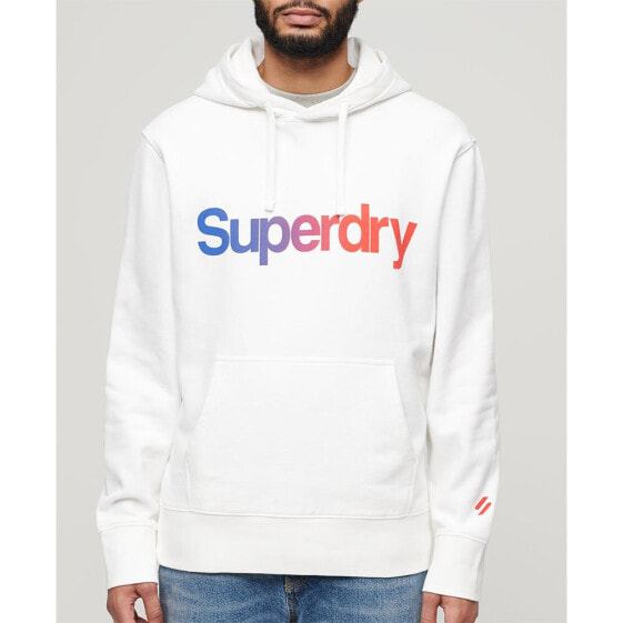 SUPERDRY Core Logo Loose hoodie