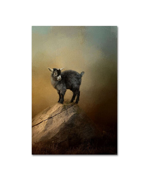 Jai Johnson 'Little Rock Climber' Canvas Art - 32" x 22" x 2"