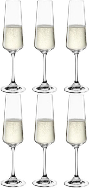 Champagnerglas Paladino 6er Set