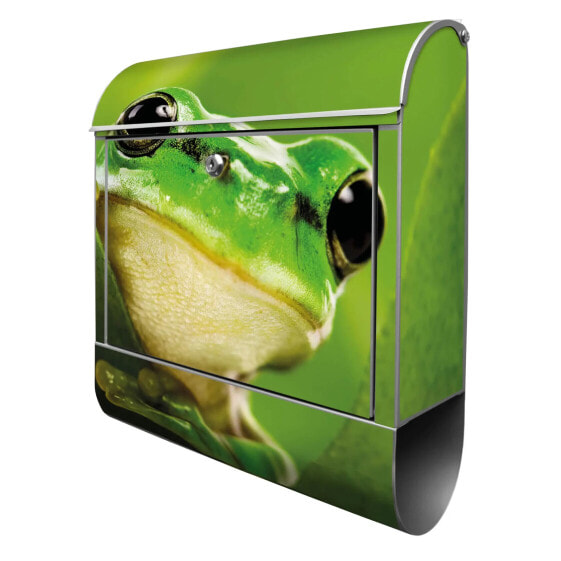 Briefkasten Stahl Frosch