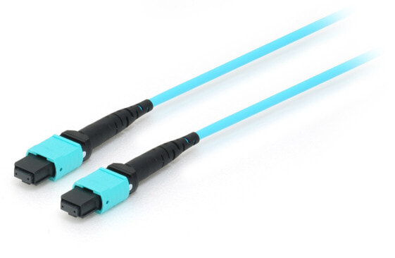 Equip MTP/MTP Trunk Fiber Optic Patch Cable - OM4 - 5m - 5 m - OM4 - MTP - MTP