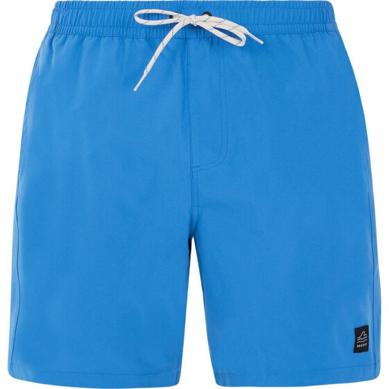 PROTEST Baky Swimming Shorts