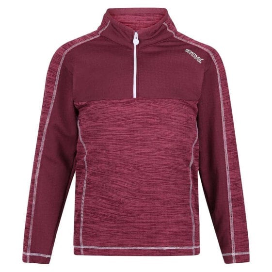 REGATTA Hewley fleece