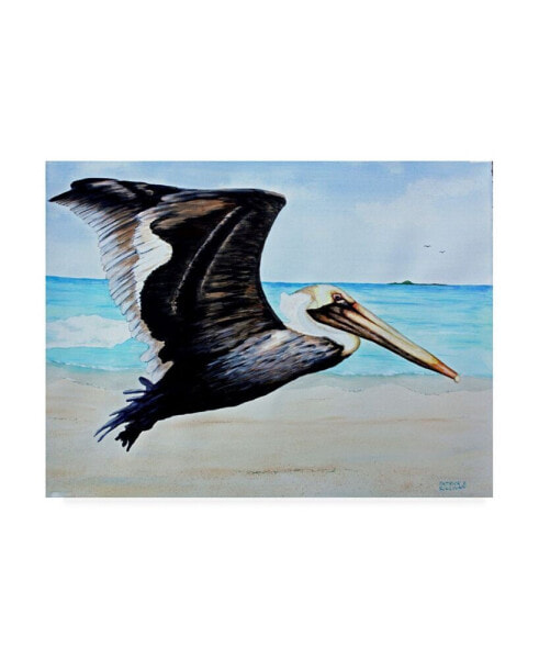 Patrick Sullivan Large Pelican Canvas Art - 36.5" x 48"