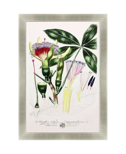 Imperial Tropical II Framed Art