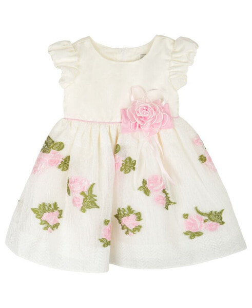Baby Girls Short Sleeves Embroidered Social Dress