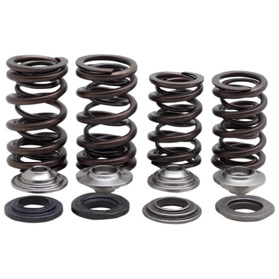 KIBBLEWHITE 30-31600 Valve Springs&Washers