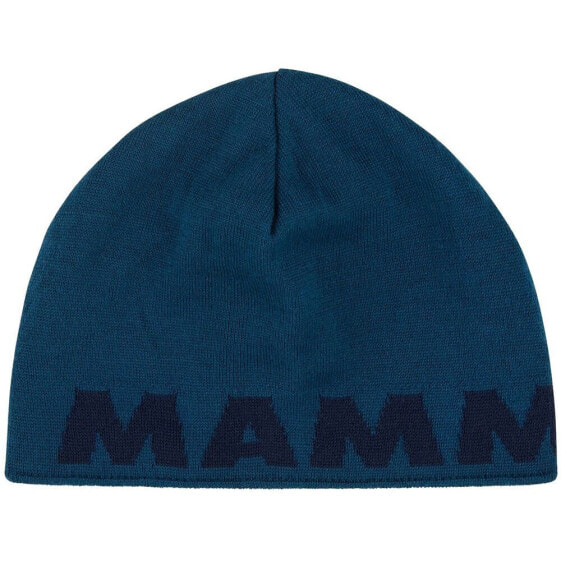 Шапка спортивная Mammut Logo Beanie