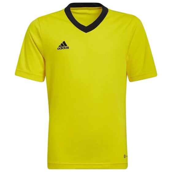 ADIDAS Entrada 22 short sleeve T-shirt