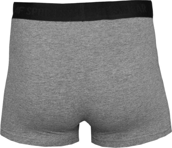 4f 4F Men's Briefs H4L22-BIM350-90M szary M