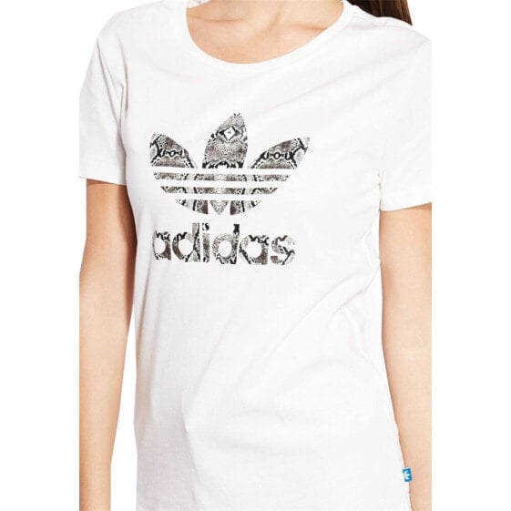 Adidas Trefoil