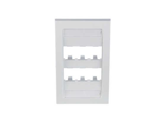 Panduit CFPE6WHY Faceplate