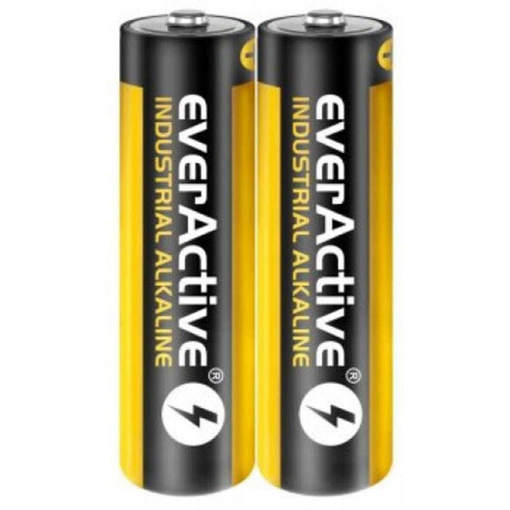 EVERACTIVE Industrial LR6 AA Alkaline Battery 40 Units