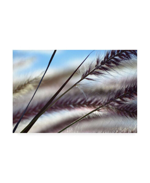 Ulpi Gonzale Grasses No. 8 Canvas Art - 15.5" x 21"