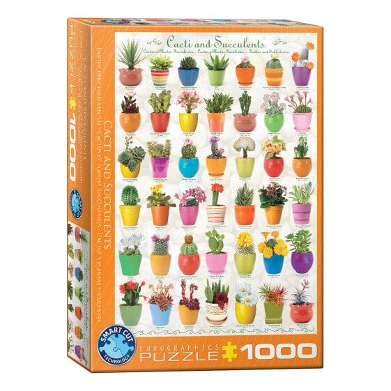 Puzzle Kaktus and Sukkulenten