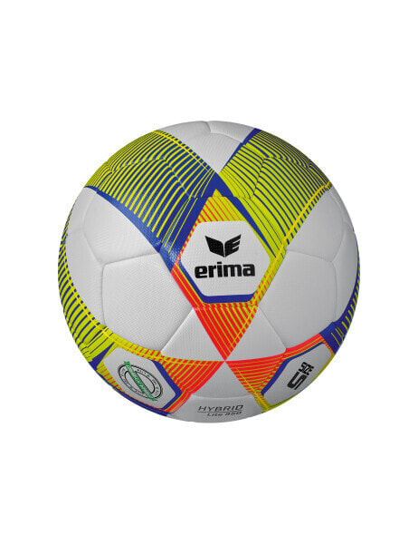 Мяч для гимнастики Erima HYBRID LITE 350
