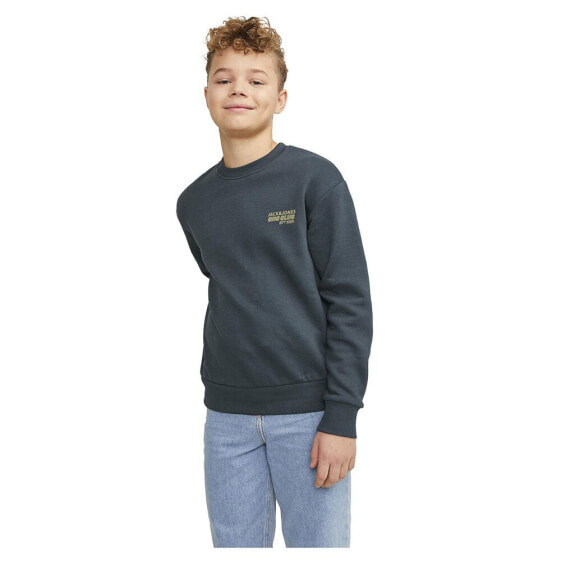 JACK & JONES Collect Edt Loose sweatshirt