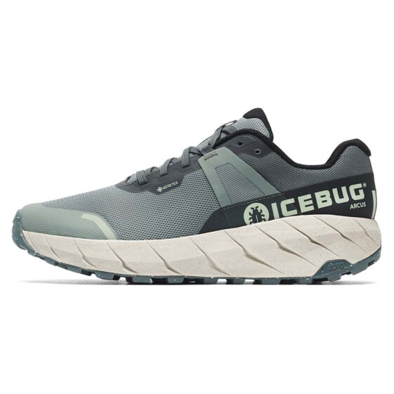 Кроссовки Icebug Arcus RB9X Goretex Trail