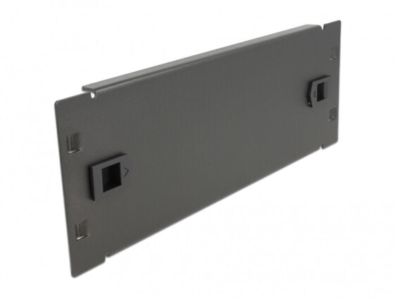Delock 66578 - Blind panel - Black - Metal - 2U - 25.4 cm (10") - 88.5 mm