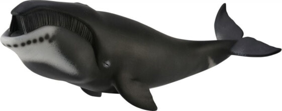 Фигурка Collecta Greenland Whale Figurine Ocean Life (Фигурка кита Гренландии)