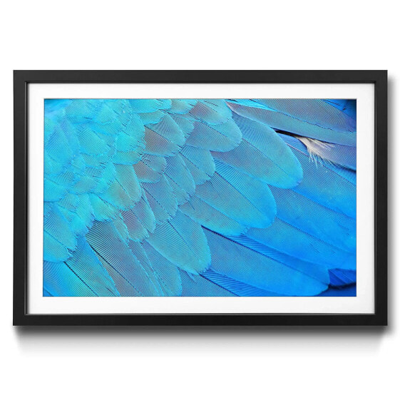 Gerahmtes Bild Bird Feathers