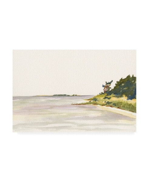 Dianne Miller Solitary Coastline I Canvas Art - 20" x 25"