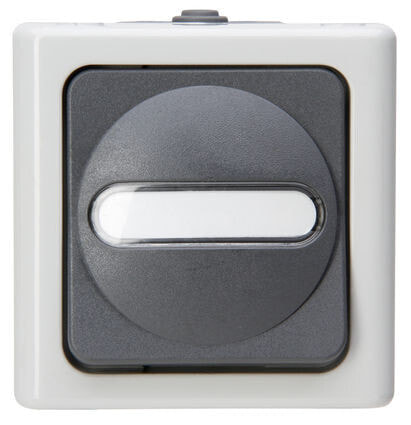 Heinrich Kopp Kopp 561456001 - Pushbutton switch - 1P - Grey,White - Thermoplastic - IP44 - 78 mm