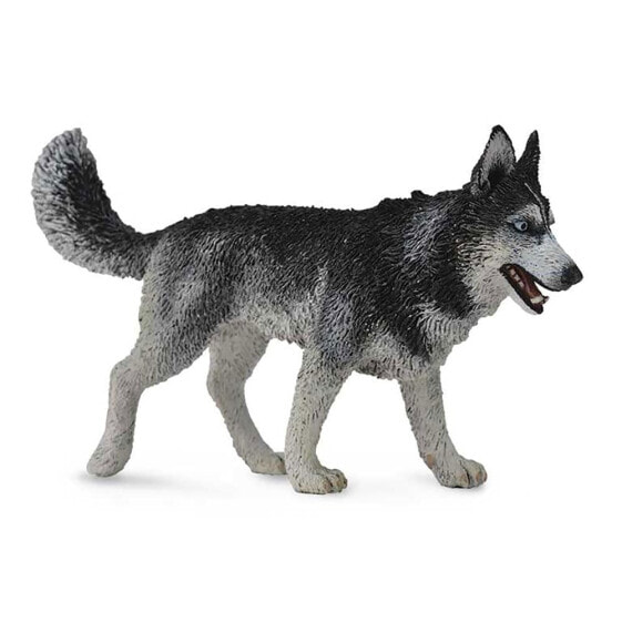 Фигурка Collecta Collected Siberian Husky Figure The Dogs (Собаки)