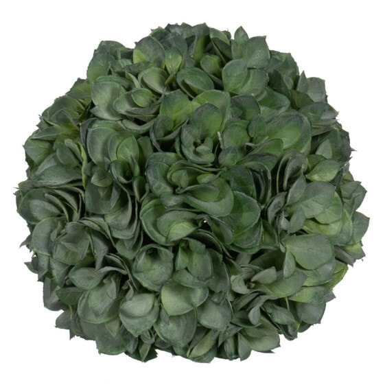 Декоративное растение Зеленый PVC 19 x 19 cm