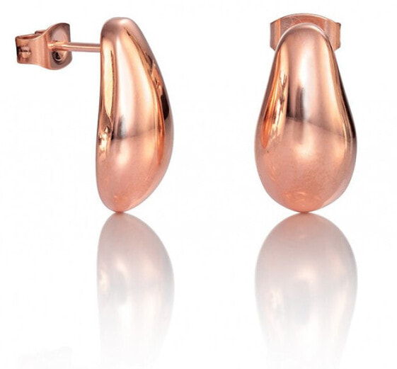 Elegant bronze earrings Air 50004E19019