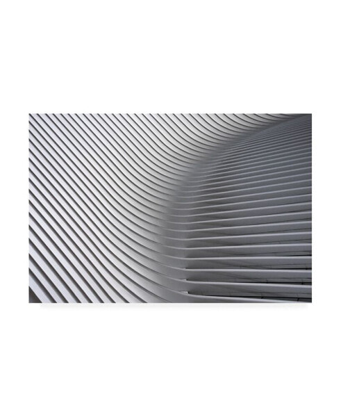 Linda Wride Calatrava Curves 2 Canvas Art - 37" x 49"