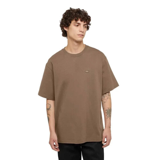 DICKIES Clancy Heavyweight short sleeve T-shirt