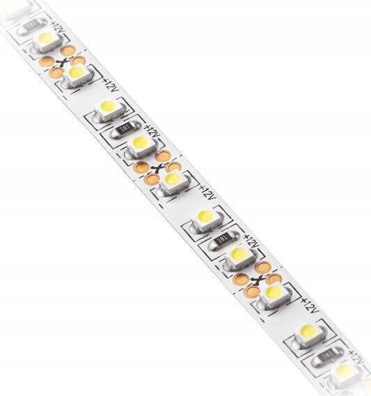 Taśma LED GTV Taśma Flash 2835, 300 LED neutralny biały 4000K, 30W, bez żelu 8mm, Rolka 5m, 12V