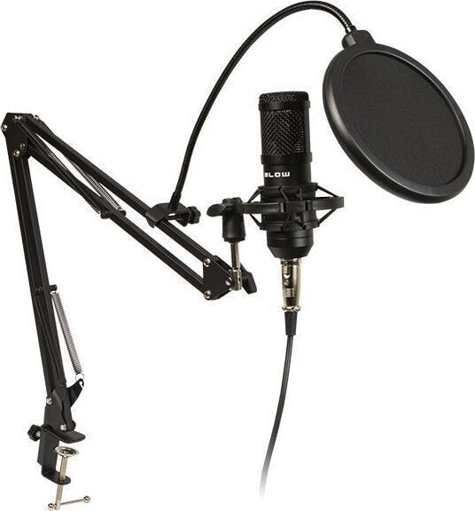Микрофон студийный с удерживающим устройством BLOW