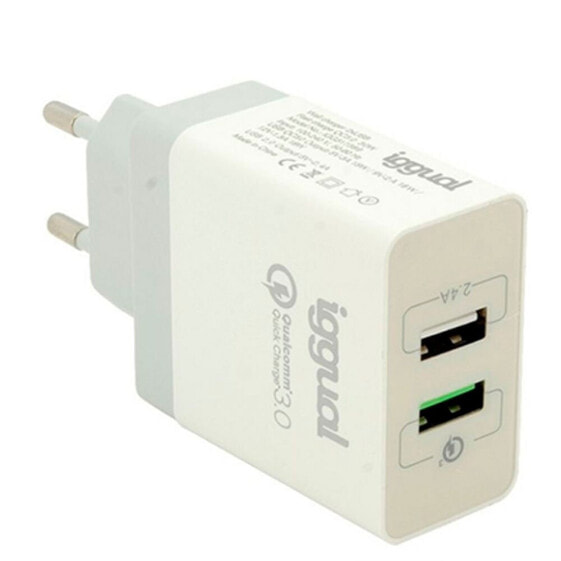 IGGUAL IGG317389 30W USB Wall Charger