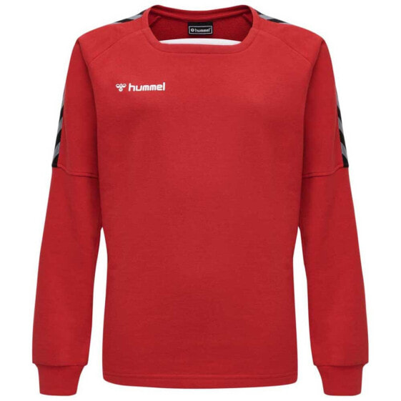HUMMEL Authentic Training sweatshirt