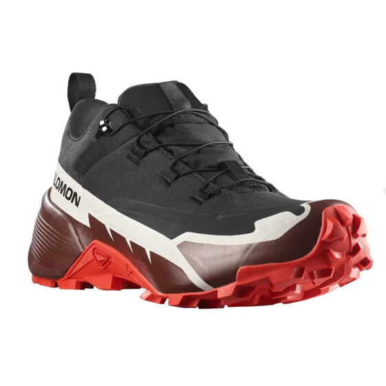 Salomon Cross Hike Gtx 2