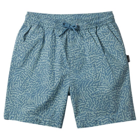 QUIKSILVER Taxer Shorts