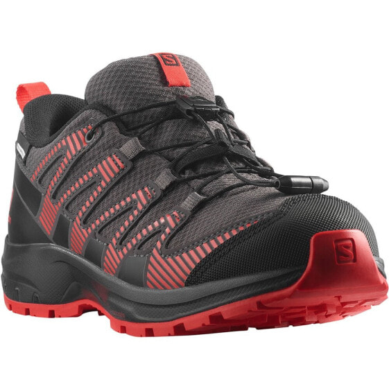SALOMON XA Pro v8 CSWP Hiking Shoes