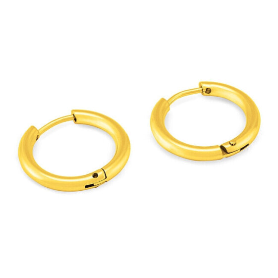 Gold-plated round earrings KS-156