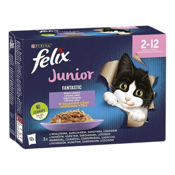 PURINA NESTLE Felix Fantastic Jelly Food For Kittens In Jelly Beef Chicken Salmon Sardine 12x85g Wet Cat Food