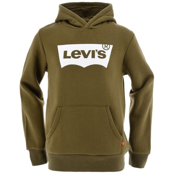 LEVI´S ® KIDS Batwing Screenprint hoodie