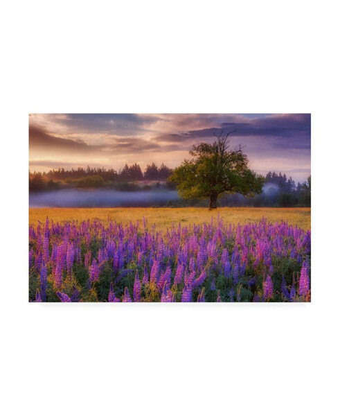 Darren White Photography Lupine Sunrise Canvas Art - 36.5" x 48"