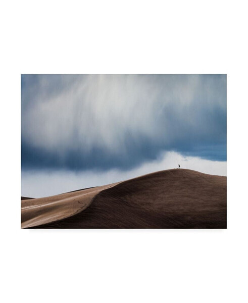 John Fan Storm Chaser Desert Canvas Art - 20" x 25"