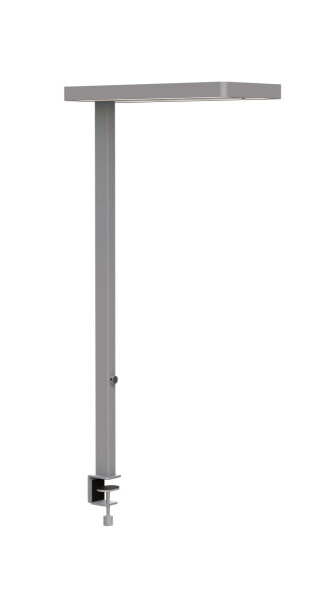 Jakob Maul GmbH MAUL 8258795 - Home office - Office - Stainless steel - 80 W - LED - 30000 h - White