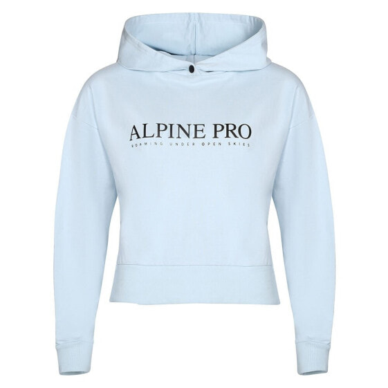 ALPINE PRO Jefewa hoodie