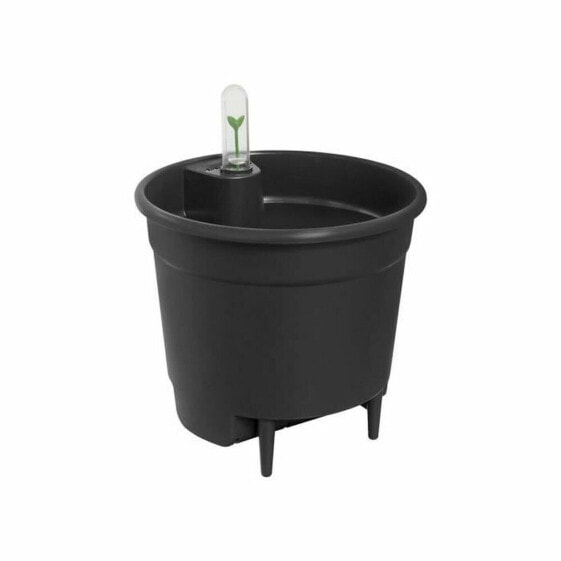 Self-watering flowerpot Elho Insert 28 Black Plastic 27,7 x 27,7 x 25,5 cm