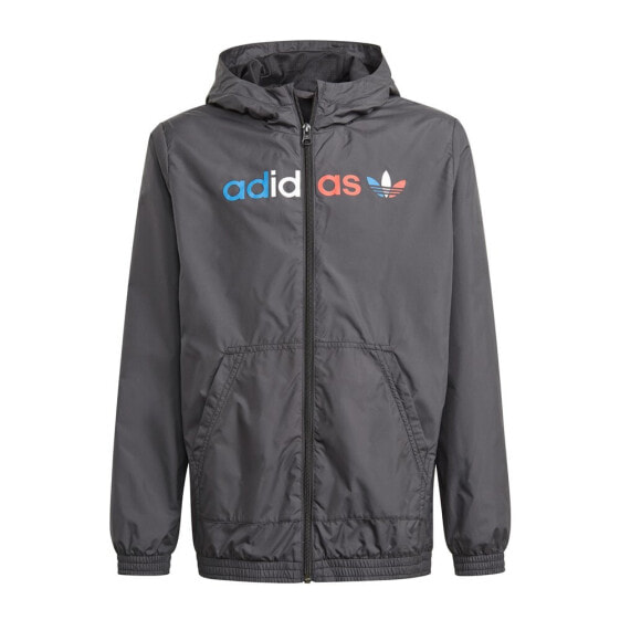 ADIDAS ORIGINALS Adicolor Jacket