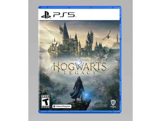 Hogwarts Legacy - PlayStation 5