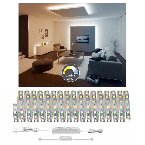 Потолочный светильник Paulmann LED-StripeTarcu